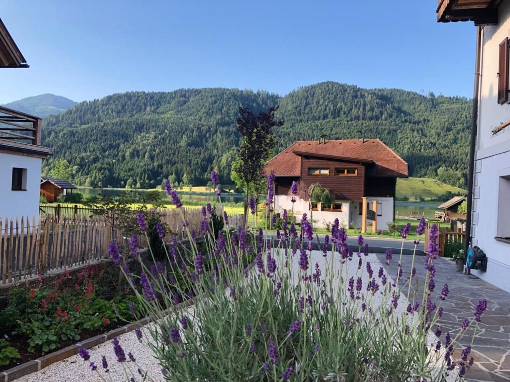 Ferienhof Hoffmann Hotel ไวส์เซินซี ภายนอก รูปภาพ